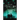 Invasion