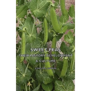 Sweet Peas - Their History, Development & Culture