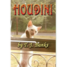 Houdini