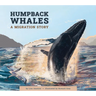 Humpback Whales: A Migration Story