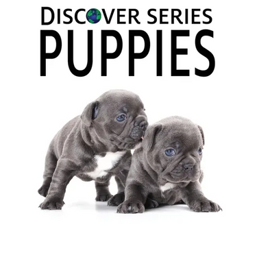 Puppies
