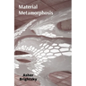 Material Metamorphosis: The Transformative Power of Materials in Installation Art