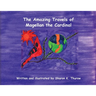 The Amazing Travels of Magellan the Cardinal