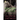Hollow Justice