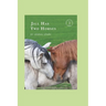 Jill Has Two Horses