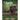 Charlie: The Little Bear that Did