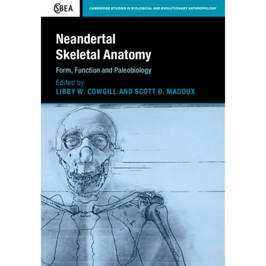 Neandertal Skeletal Anatomy