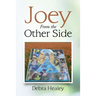 Joey From The Other Side