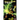 Spider-Woman by Steve Foxe Vol. 1: Gang War