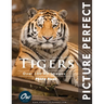 Tigers: Picture Perfect Photo Book