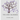 The Lonely Jacaranda