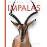 Impalas