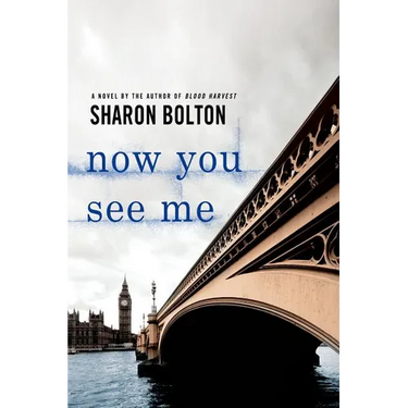 Now You See Me: A Lacey Flint Novel