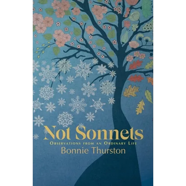 Not Sonnets: Observations from an Ordinary Life