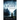 Wild Light