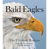 Bald Eagles: The Ultimate Raptors