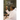 Dialogues With Amma