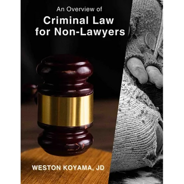 An Overview of Criminal Law for Non-Lawyers
