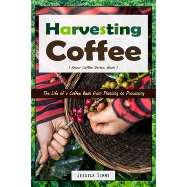 Harvesting Coffee: The Life of a Coffee Bean from Planting to Processing