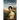 Mr. Darcy's Dream
