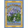Marfa Lights Out