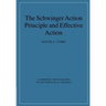 The Schwinger Action Principle and Effective Action