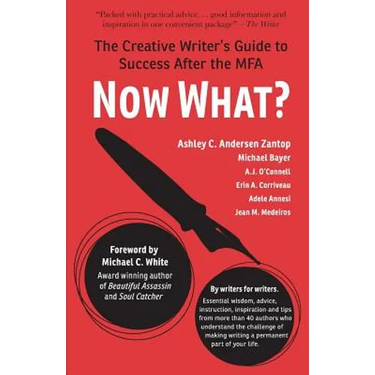 Now What?: The Creative Writer's Guide to Success After the MFA