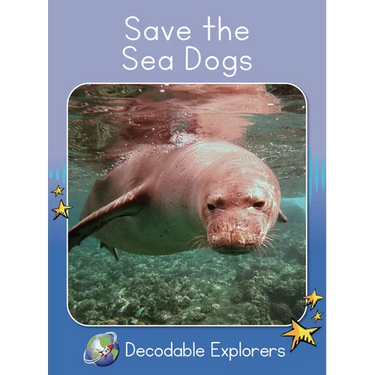 Save the Sea Dogs: Skills Set 7