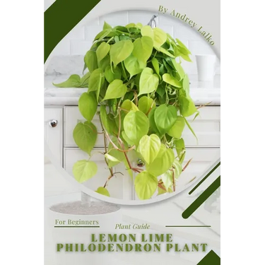 Lemon Lime Philodendron Plant: Plant Guide