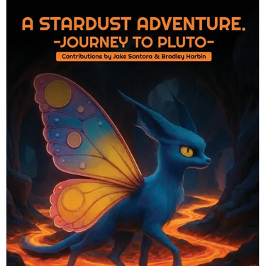 A Stardust Adventure: Journey to Pluto