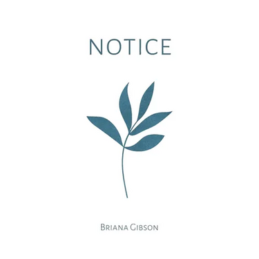 Notice