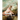 Jean-Antoine Watteau: Poet of the Rococo