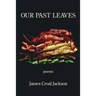 Our Past Leaves