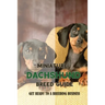 Miniature Dachshund Breed Guide: Get Ready To A Breeding Business: How Are Mini Dachshunds Bred