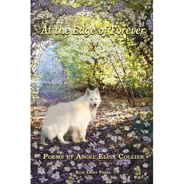 At The Edge Of Forever