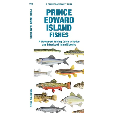 Prince Edward Island Fishes: A Folding Guide to Native and Introduced Inland Species