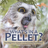 What's in a Pellet? Owl Digestive System and Dissecting Owl Pellets Grade 6-8 Life Science