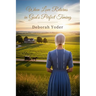 When Love Returns in God's Perfect Timing: A Blessingfield Amish Second Chance Romance