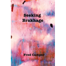 Seeking Brakhage