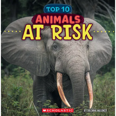 Animals at Risk (Wild World: Top 10)