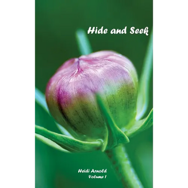 Hide and Seek