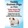 Teddy Guinea Pigs as Pets. Teddy Guinea Pig Owners Manual. Teddy Guinea pig care, handling, pros and cons, feeding, training and showing.