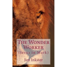 The Wonder Worker: Jesus in the Book of Mark