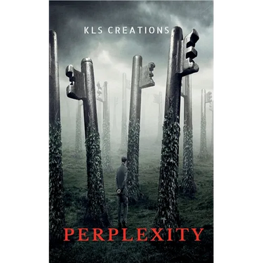 Perplexity