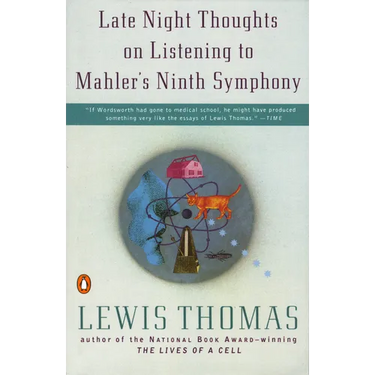 Late Night Thoughts on Listening to Mahler's Ninth Symphony