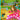 Paulina the Picky Princess and the Magic Garden