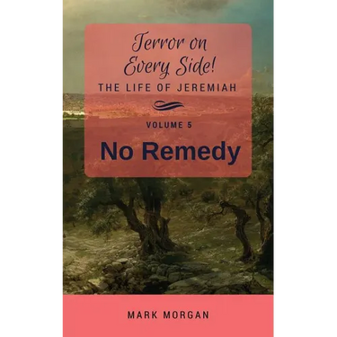 No Remedy: Volume 5 of 6