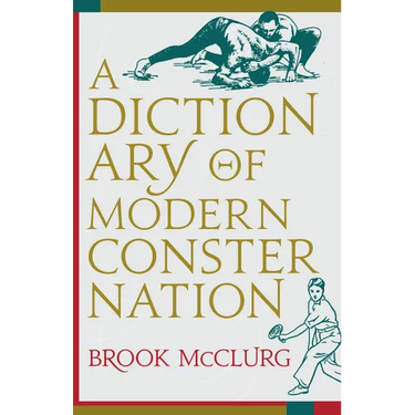 A Dictionary of Modern Consternation