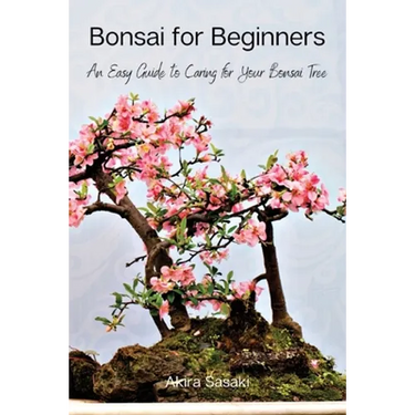 Bonsai for Beginners: An Easy Guide to Caring for Your Bonsai Tree
