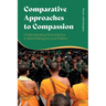 Comparative Approaches to Compassion: Understanding Nonviolence in World Religions and Politics